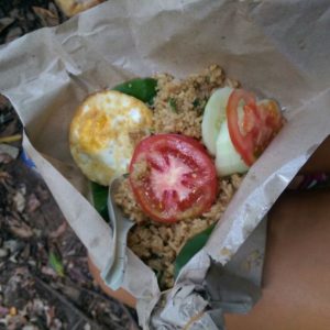 Jungle trekking Bukit Lawang