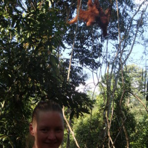 Jungle trekking Bukit Lawang